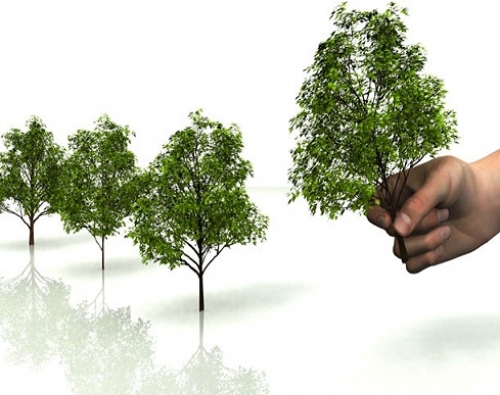 nestandartnoe resenie