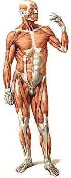 predpriimcivij student