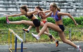 temp zizni kak vibor